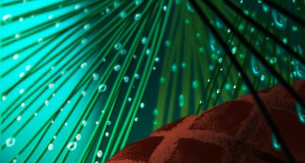 Newt : Bild Gary Rydstrom