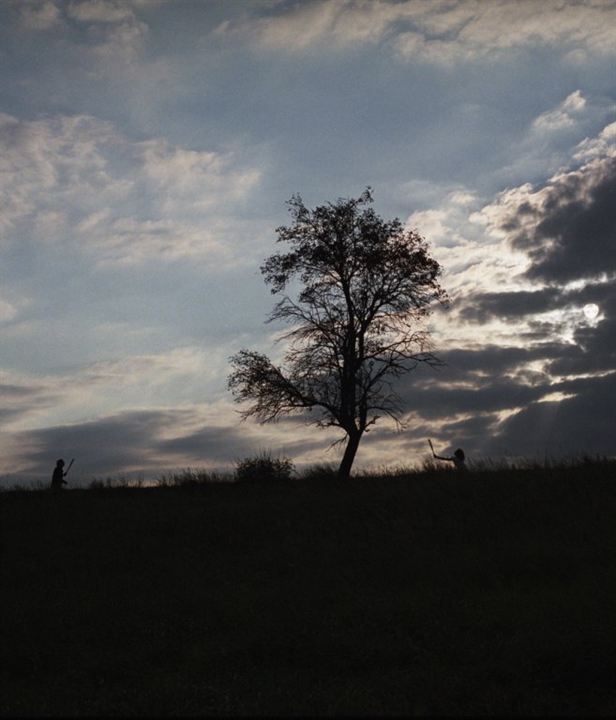 Mitte Ende August : Bild