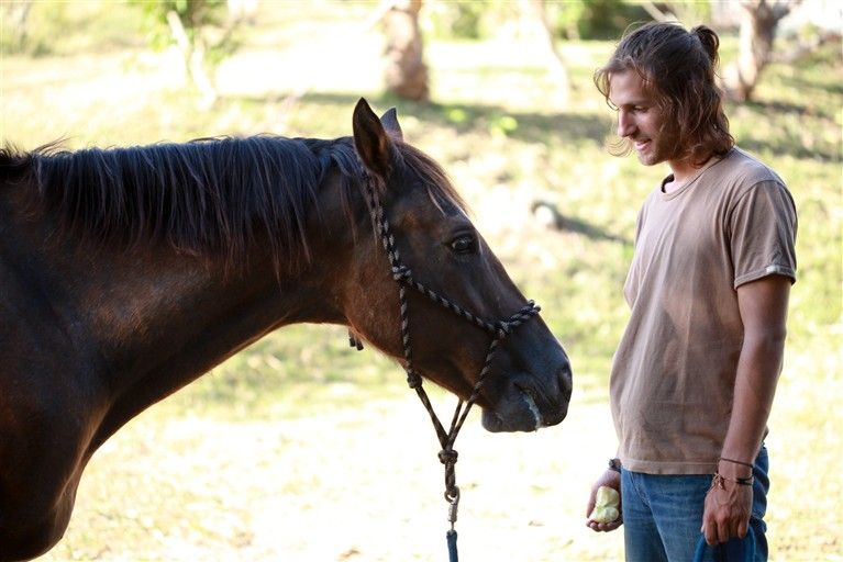 Bild Cédric D'Oliveira