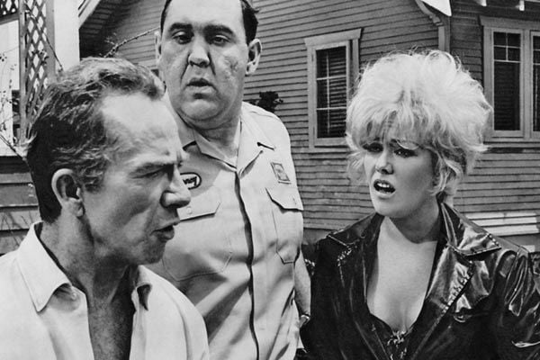 Küss mich, Dummkopf : Bild