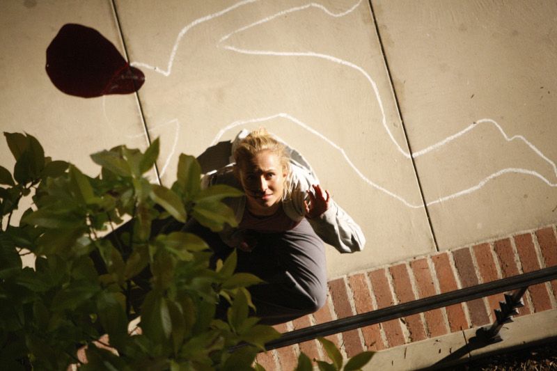 Bild Hayden Panettiere