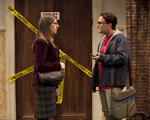 The Big Bang Theory : Bild Johnny Galecki, Mayim Bialik