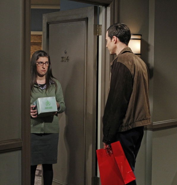 The Big Bang Theory : Bild Mayim Bialik, Jim Parsons