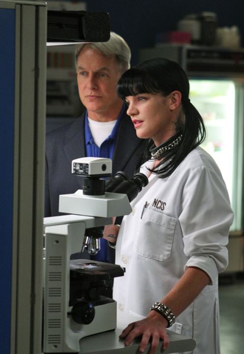 Bild Pauley Perrette, Mark Harmon