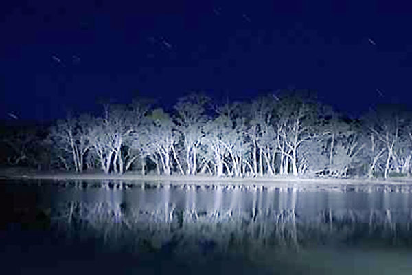 Lake Mungo : Bild Joel Anderson (II)