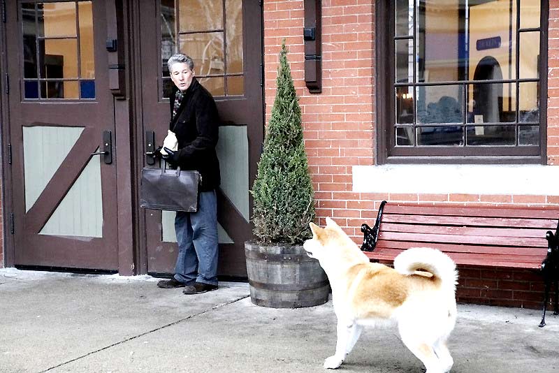 Hachiko - Eine wunderbare Freundschaft : Bild