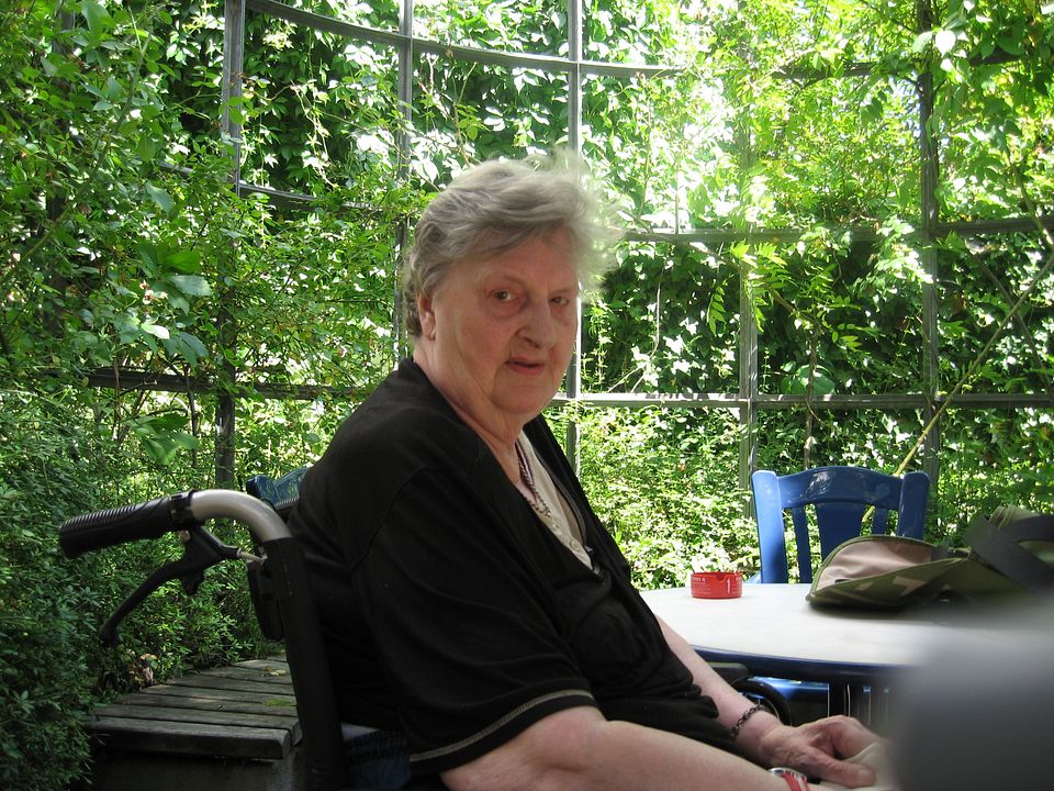 Die Unwertigen : Bild