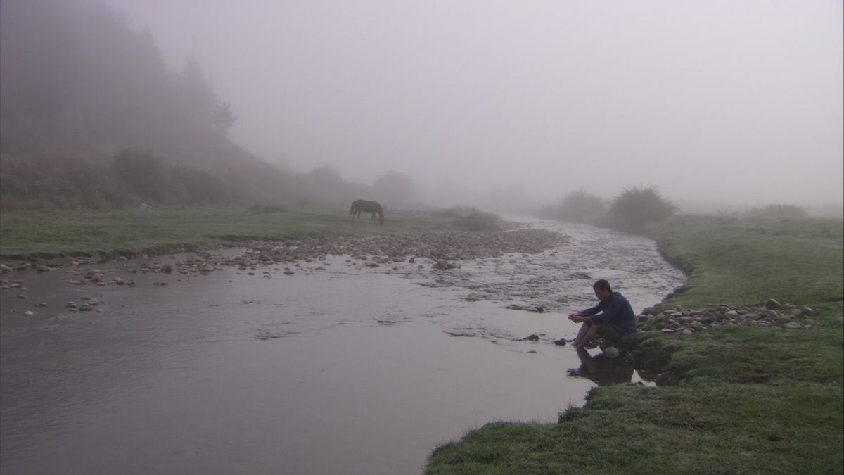 Bild Darielle Tillon