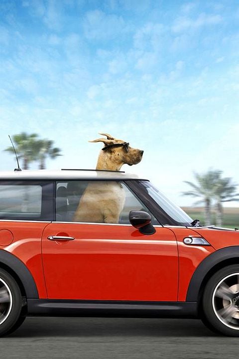 Marmaduke : Bild Tom Dey