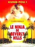 Die Kampfwurst - Beverly Hills Ninja : Kinoposter