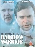 Anschlag auf die 'Rainbow Warrior' : Kinoposter