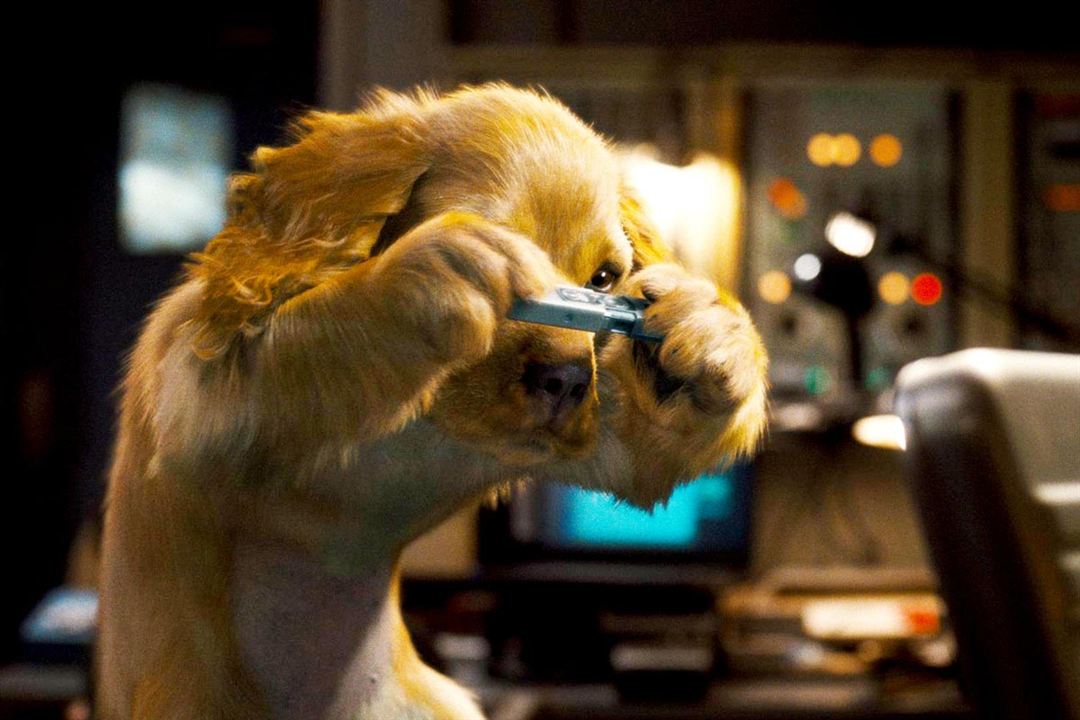 Cats & Dogs - Die Rache der Kitty Kahlohr : Bild Brad Peyton, Kevin Lima