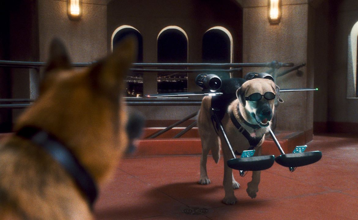 Cats & Dogs - Die Rache der Kitty Kahlohr : Bild Brad Peyton, Kevin Lima