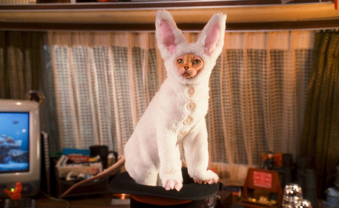 Cats & Dogs - Die Rache der Kitty Kahlohr : Bild Brad Peyton, Kevin Lima