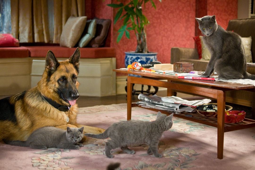 Cats & Dogs - Die Rache der Kitty Kahlohr : Bild Brad Peyton, Kevin Lima