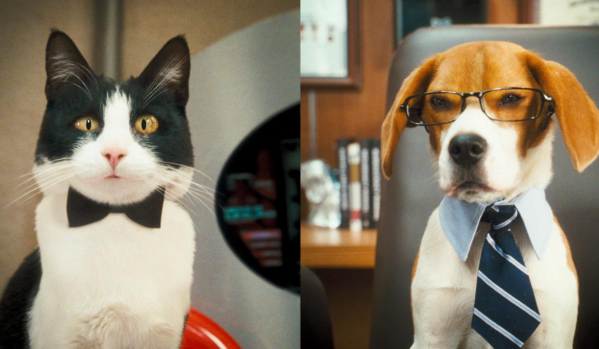 Cats & Dogs - Die Rache der Kitty Kahlohr : Bild Kevin Lima, Brad Peyton