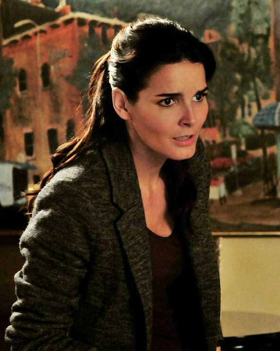 Bild Angie Harmon