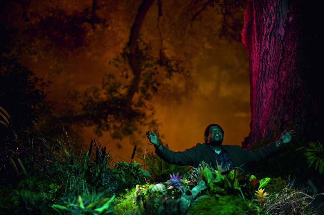 My Own Love Song : Bild Forest Whitaker