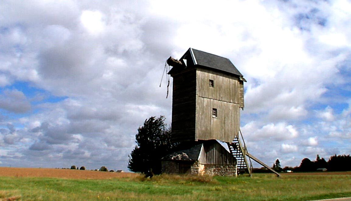 Bernard ni dieu ni chaussettes : Bild