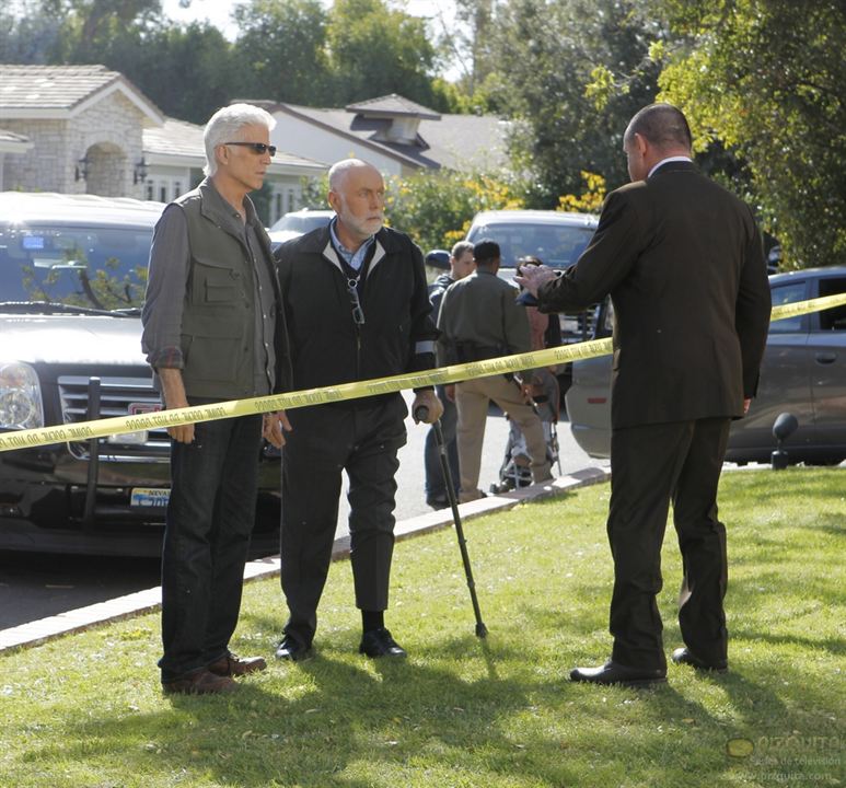 CSI: Den Tätern auf der Spur : Bild Robert David Hall, Ted Danson, Paul Guilfoyle (II)