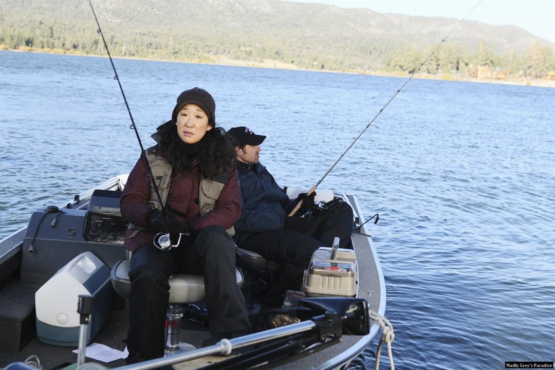 Bild Patrick Dempsey, Sandra Oh