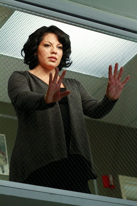 Grey's Anatomy - Die jungen Ärzte : Bild Sara Ramirez