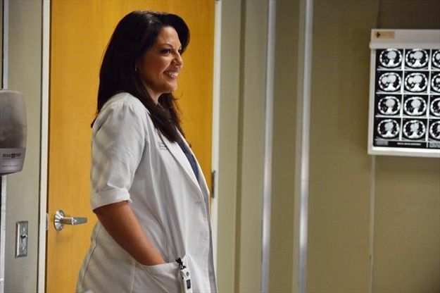 Grey's Anatomy - Die jungen Ärzte : Bild Sara Ramirez