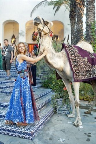 90210 : Bild AnnaLynne McCord