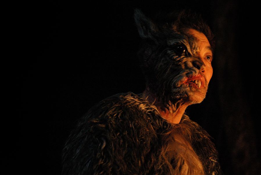 Starfish Hotel : Bild