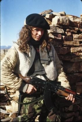 Die rote Flut : Bild