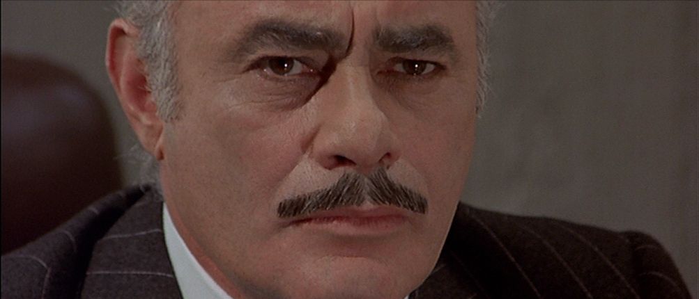 Allein gegen das Gesetz : Bild