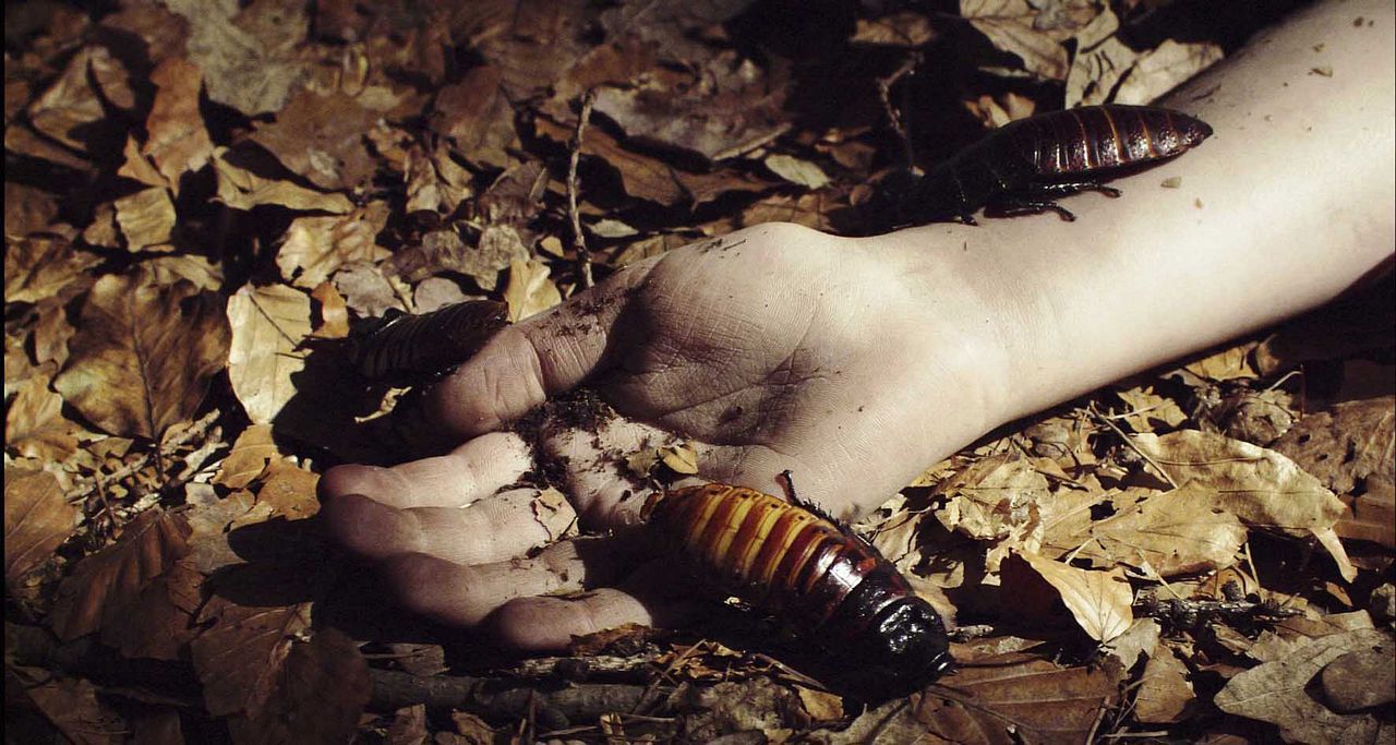 Nuit Noire - Die schwarze Nacht : Bild