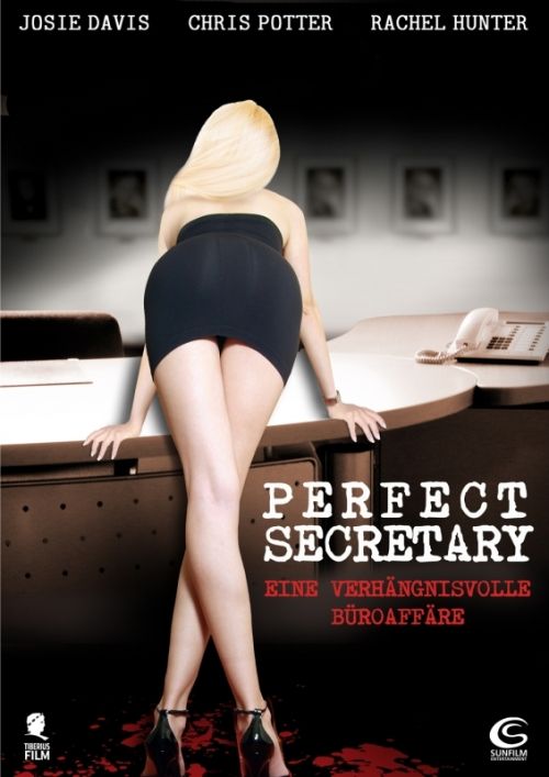 Perfect Secretary : Kinoposter