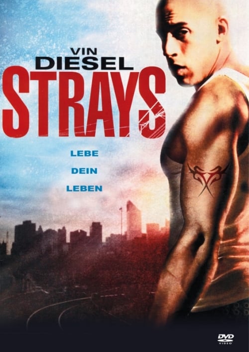 Strays - Lebe dein Leben : Kinoposter