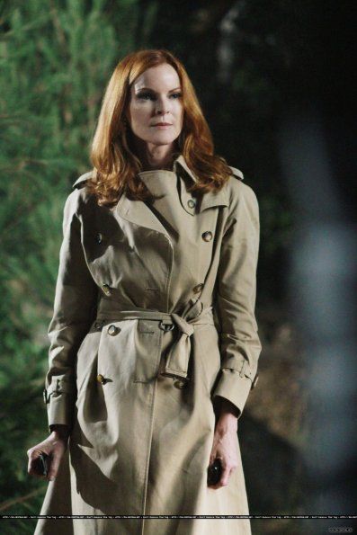 Desperate Housewives : Bild Marcia Cross