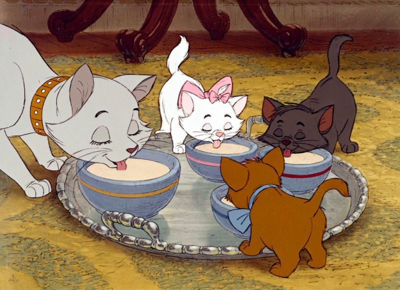 Aristocats : Bild