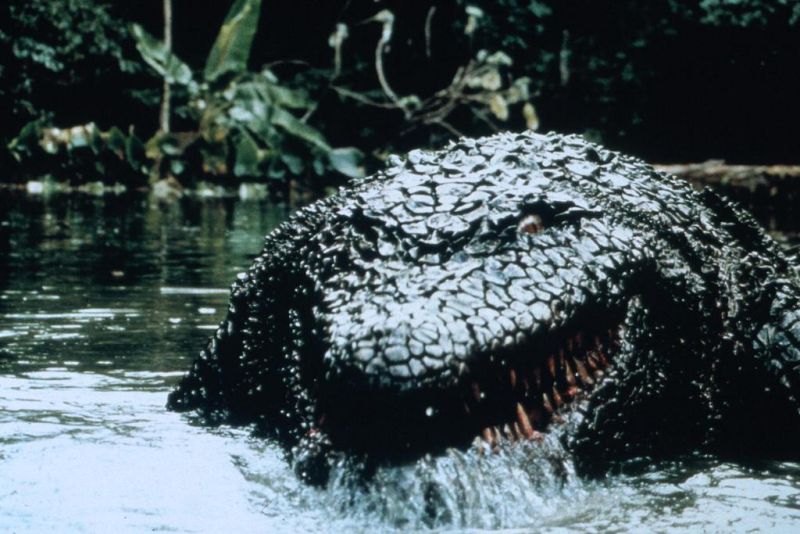 Killer Krokodil II - Die Mörderbestie : Bild