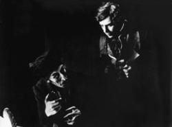 Nosferatu, eine Symphonie des Grauens : Bild