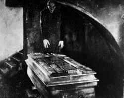 Nosferatu, eine Symphonie des Grauens : Bild