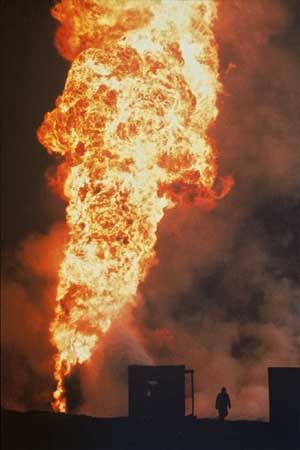 Lektionen in Finsternis : Bild