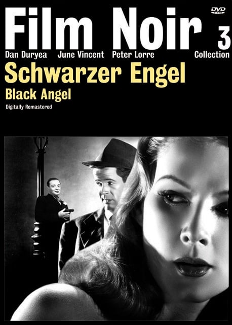 Poster zum Film Schwarzer Engel - Bild 8 auf 8 - FILMSTARTS.de