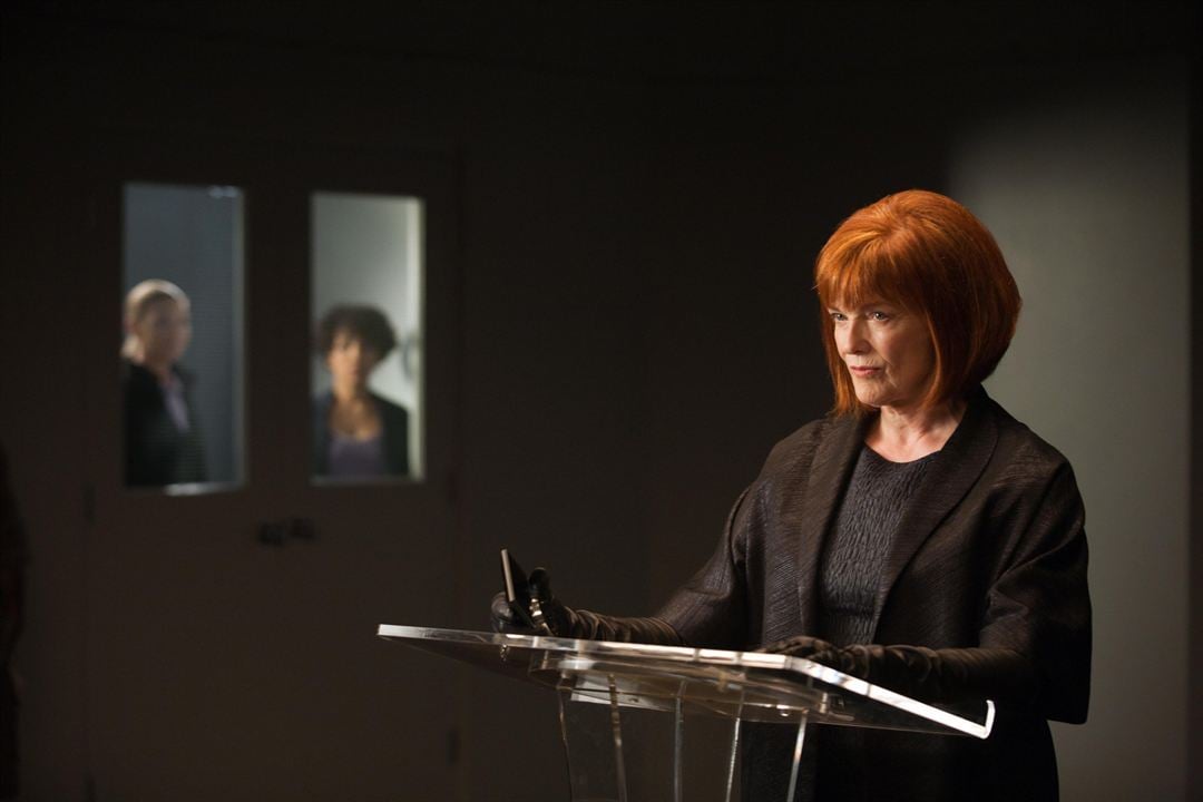 Fringe - Grenzfälle des FBI : Bild Blair Brown