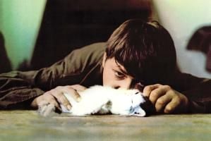 Schatten der Engel : Bild