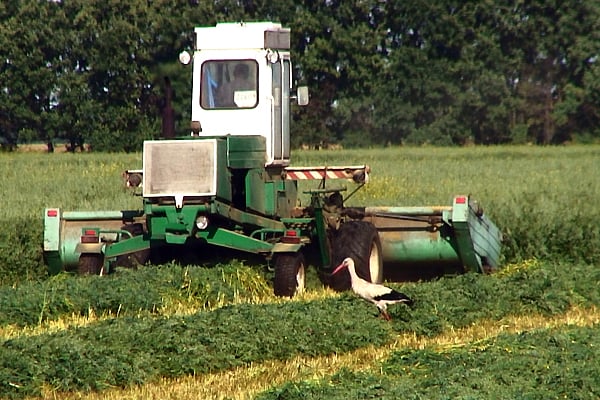 Good Food, Bad Food - Anleitung für eine bessere Landwirtschaft : Bild