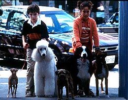 Bild Brittany Moldowan