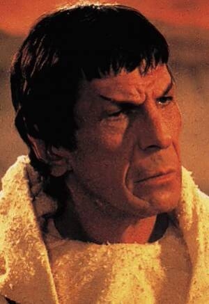 Star Trek 3: Auf der Suche nach Mr. Spock : Bild