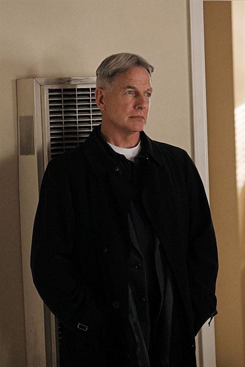 Navy CIS : Bild Mark Harmon