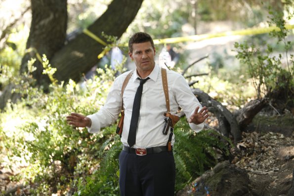 Bones - Die Knochenjägerin : Bild David Boreanaz