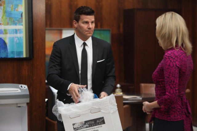 Bones - Die Knochenjägerin : Bild David Boreanaz