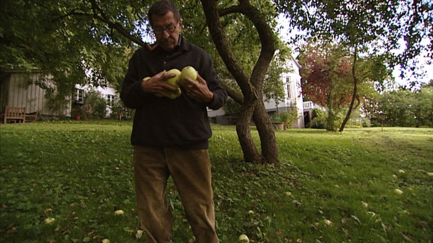 Bild Günter Grass